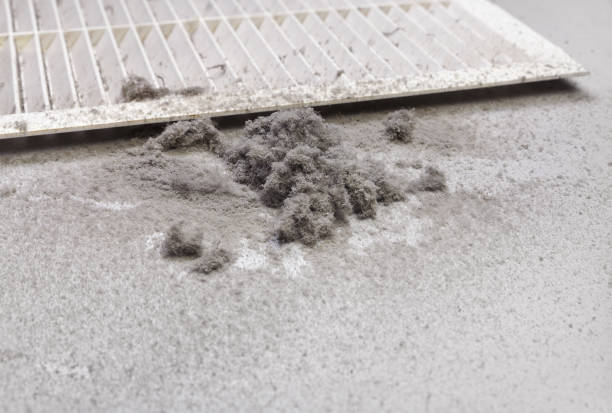Best Affordable Air Duct Cleaning  in Swissvale, PA